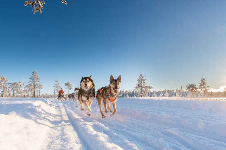 Zweden wintersport nieuwkomer bij TUI Nederland 